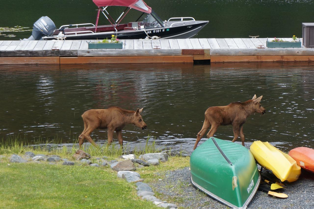 Bear Lake Lodgings B&B, Inc Seward Bagian luar foto