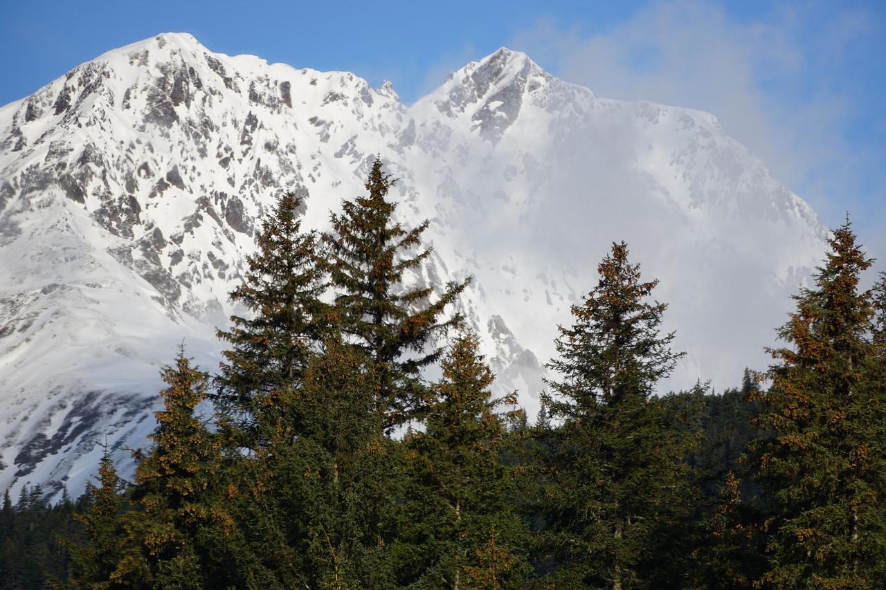 Bear Lake Lodgings B&B, Inc Seward Bagian luar foto